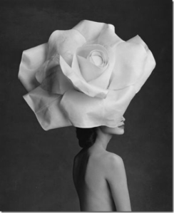 rose had via reasonstobreathe.tumblr_thumb[1]