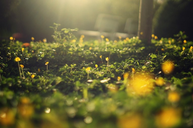 tumblr_n8po8nzqkf1rbkxxjo1_1280