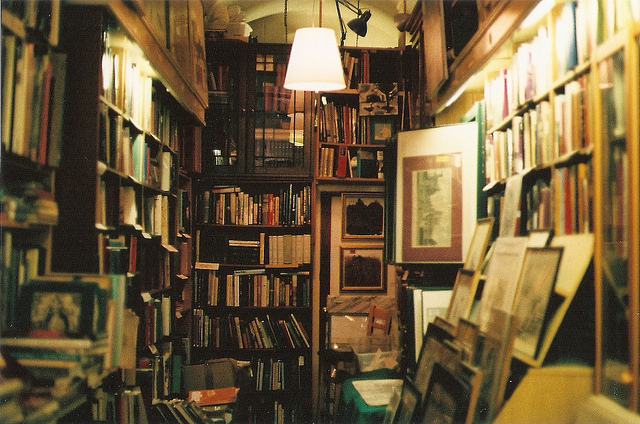 tumblr_nd5d1dfgXU1u0da3jo1_1280