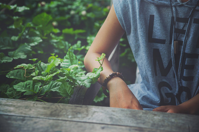 21235199456_0c30228857_z