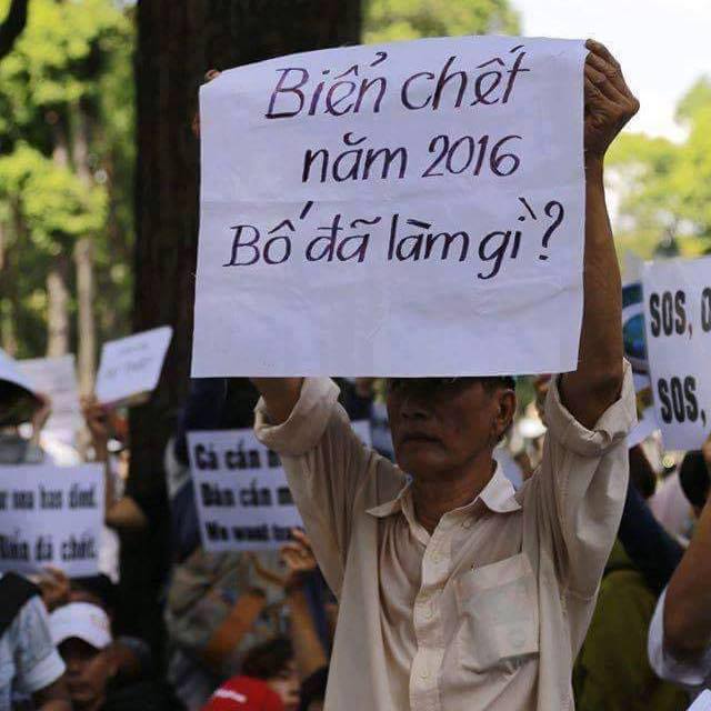 13177317_1794077780815908_8917064214732151166_n